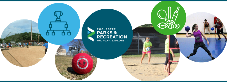 Sports Leagues